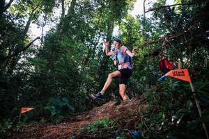 BIB: 
                            <button type="button" onclick="openModal(22629244)" class="btn btn-primary btn-sm float-right btn-popup" data-toggle="modal" data-target=".modal-high-quality">
                        <i class="fas fa-shopping-cart"></i> Add to Cart
                    </button>
                                            <button type="button" onclick="isThisMe(22629244, true)" class="btn btn-success btn-sm float-right btn-popup btn-isme hidden" data-toggle="tooltip" data-placement="bottom" title="นี่คือรูปของคุณใช่ไหม คลิกที่นี่เพื่อเอาเข้าอัลบั้ม">
                        <i class="fas fa-plus"></i> Add to album
                    </button>
                    <button type="button" onclick="isThisMe(22629244, false)" class="btn btn-warning btn-sm float-right btn-popup btn-isnotme hidden">
                        <i class="fas fa-ban"></i> Remove from album
                    </button>